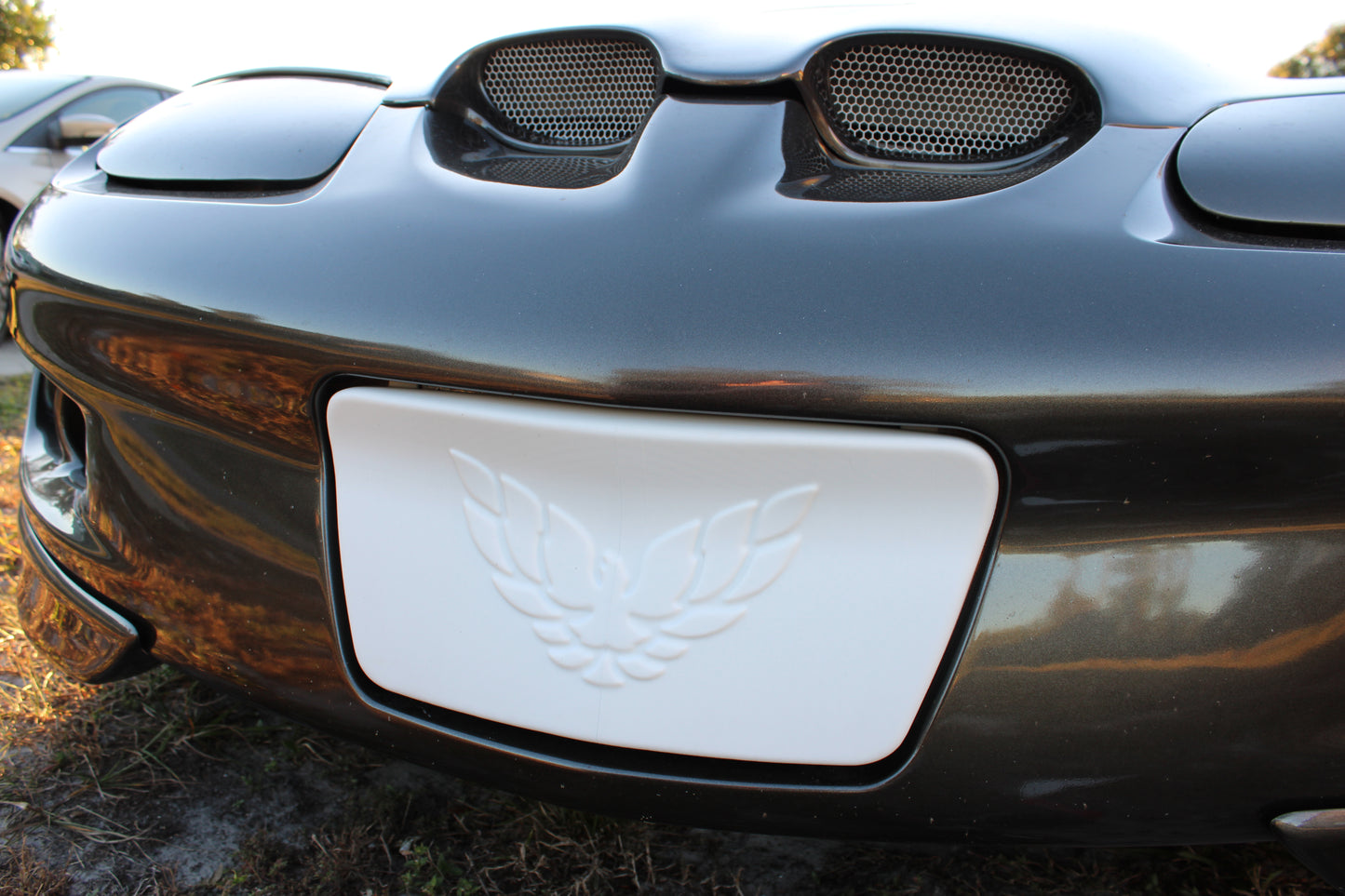 License Plate Filler