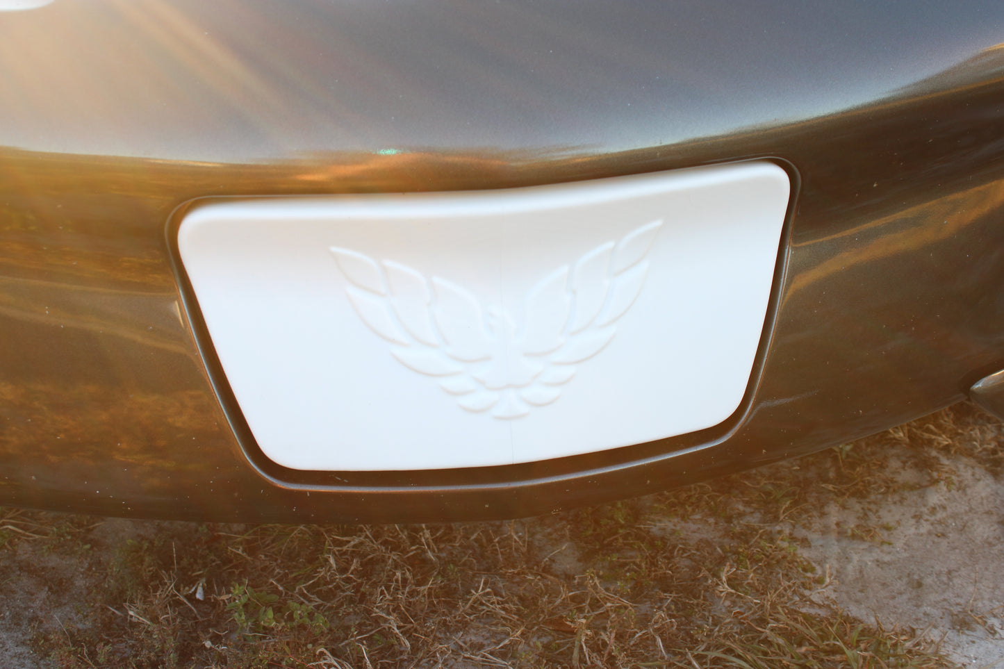 License Plate Filler