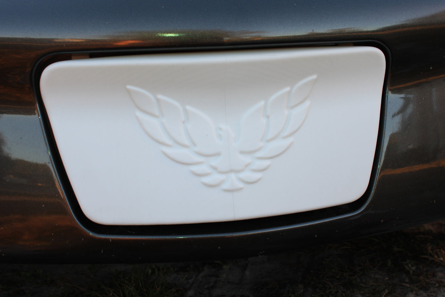 License Plate Filler